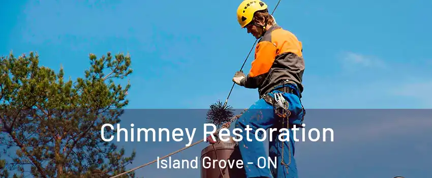  Chimney Restoration Island Grove - ON