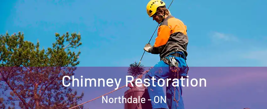  Chimney Restoration Northdale - ON