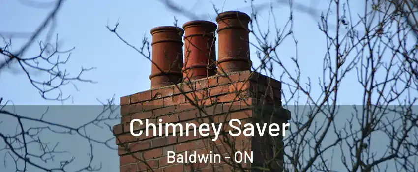  Chimney Saver Baldwin - ON