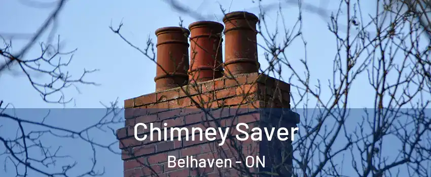  Chimney Saver Belhaven - ON