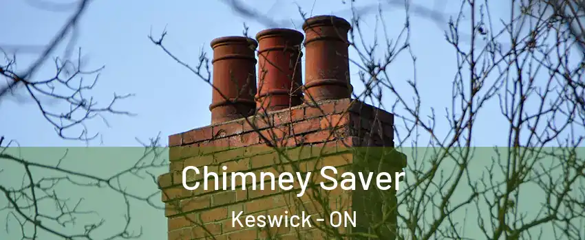  Chimney Saver Keswick - ON