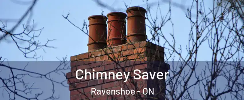  Chimney Saver Ravenshoe - ON