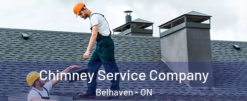  Chimney Service Company Belhaven - ON