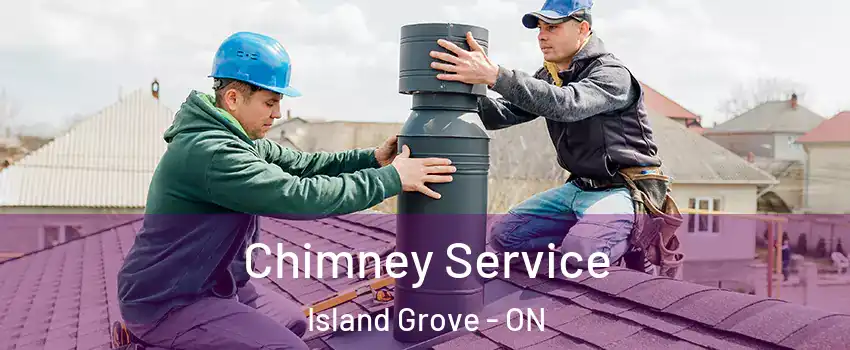  Chimney Service Island Grove - ON