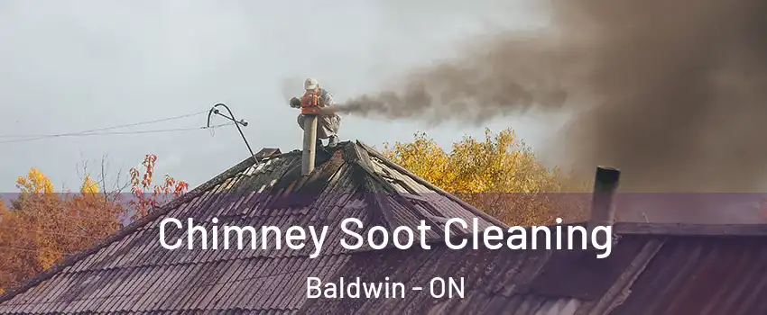  Chimney Soot Cleaning Baldwin - ON