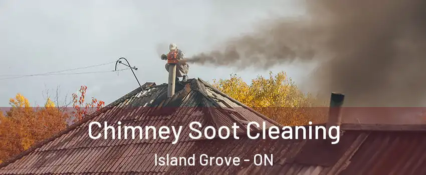 Chimney Soot Cleaning Island Grove - ON
