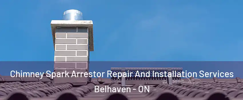  Chimney Spark Arrestor Repair And Installation Services Belhaven - ON