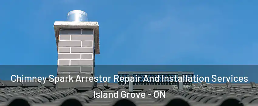  Chimney Spark Arrestor Repair And Installation Services Island Grove - ON