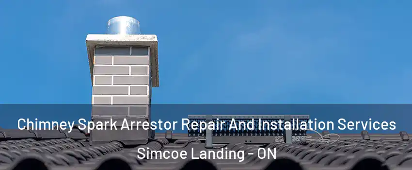  Chimney Spark Arrestor Repair And Installation Services Simcoe Landing - ON