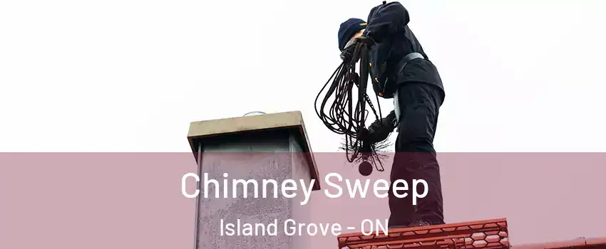  Chimney Sweep Island Grove - ON