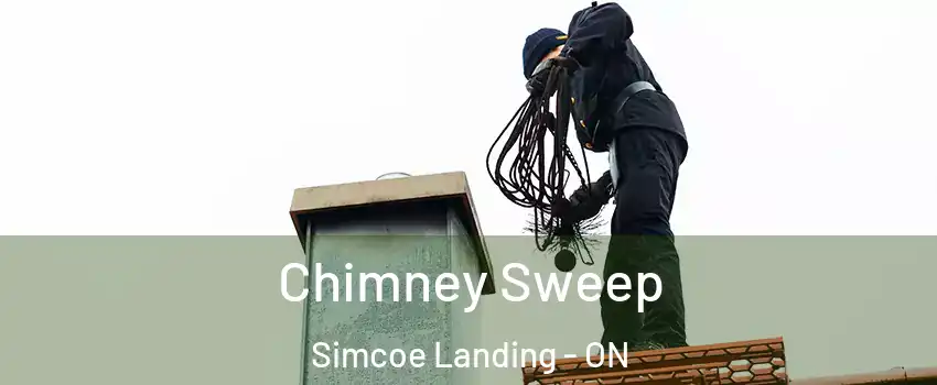  Chimney Sweep Simcoe Landing - ON