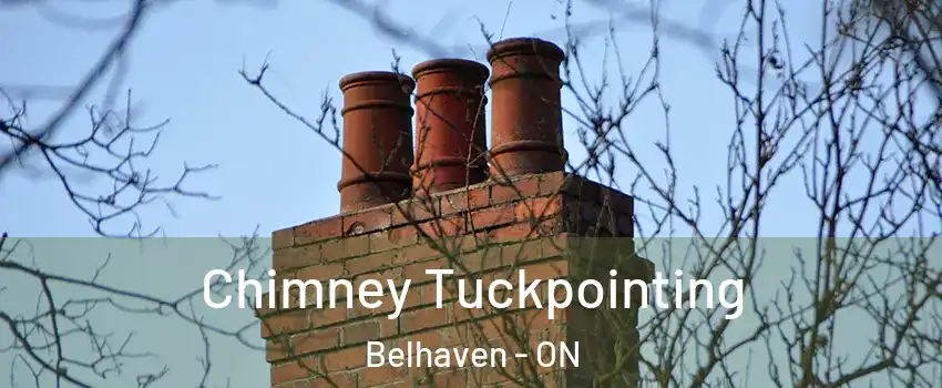  Chimney Tuckpointing Belhaven - ON