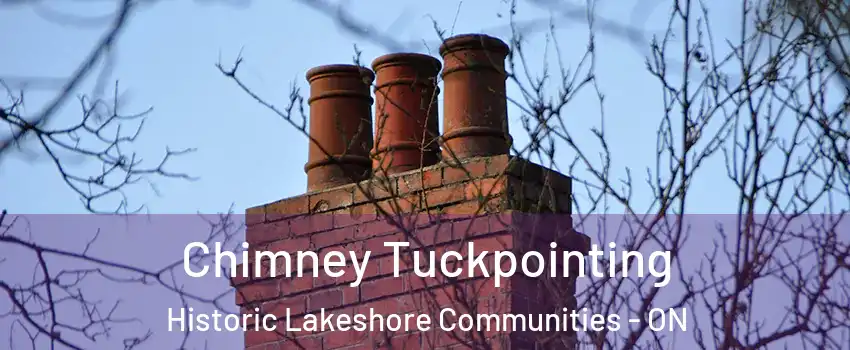  Chimney Tuckpointing Historic Lakeshore Communities - ON