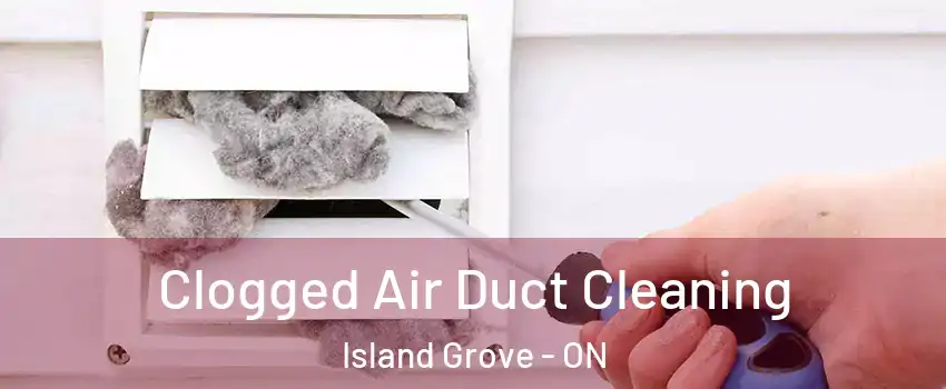  Clogged Air Duct Cleaning Island Grove - ON