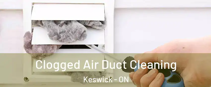  Clogged Air Duct Cleaning Keswick - ON