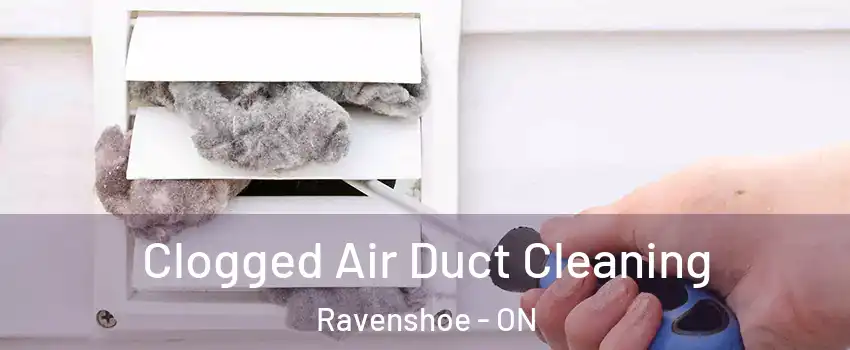  Clogged Air Duct Cleaning Ravenshoe - ON