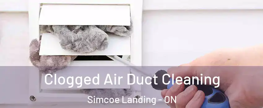  Clogged Air Duct Cleaning Simcoe Landing - ON