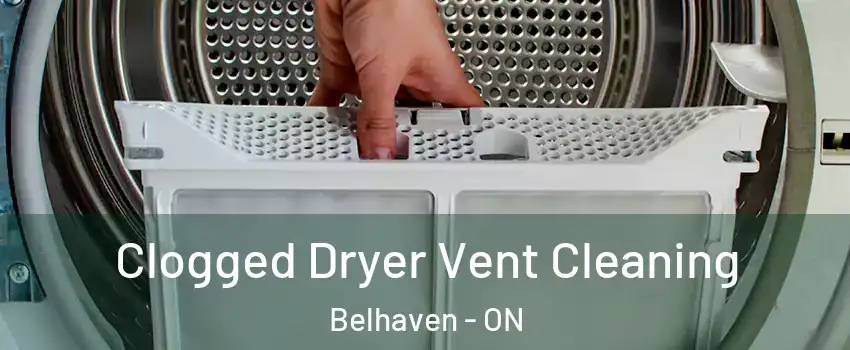  Clogged Dryer Vent Cleaning Belhaven - ON