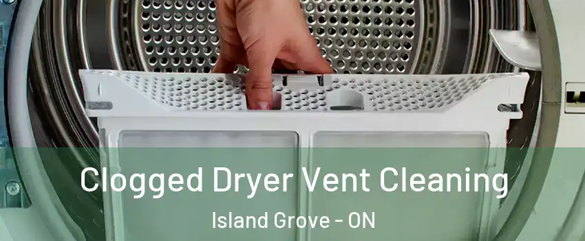  Clogged Dryer Vent Cleaning Island Grove - ON