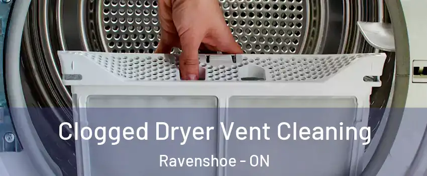  Clogged Dryer Vent Cleaning Ravenshoe - ON
