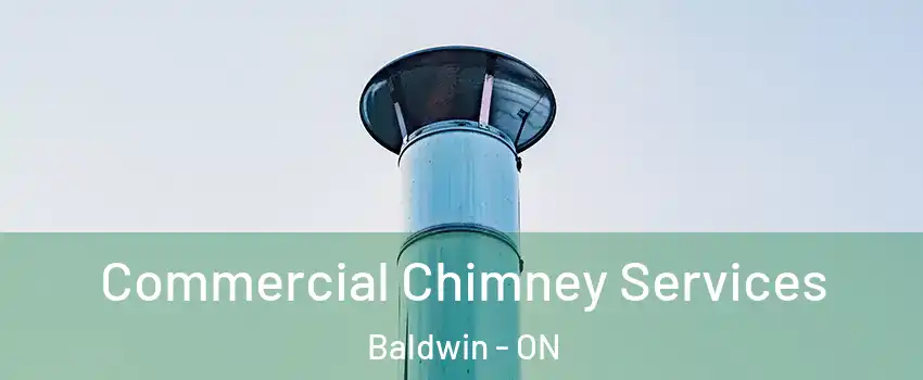  Commercial Chimney Services Baldwin - ON
