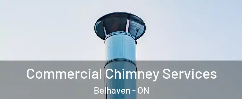  Commercial Chimney Services Belhaven - ON