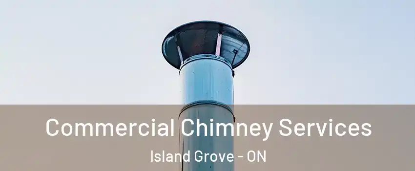  Commercial Chimney Services Island Grove - ON