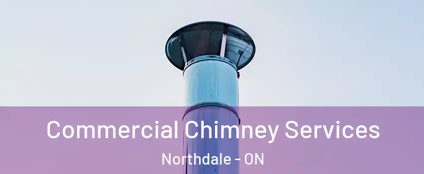  Commercial Chimney Services Northdale - ON