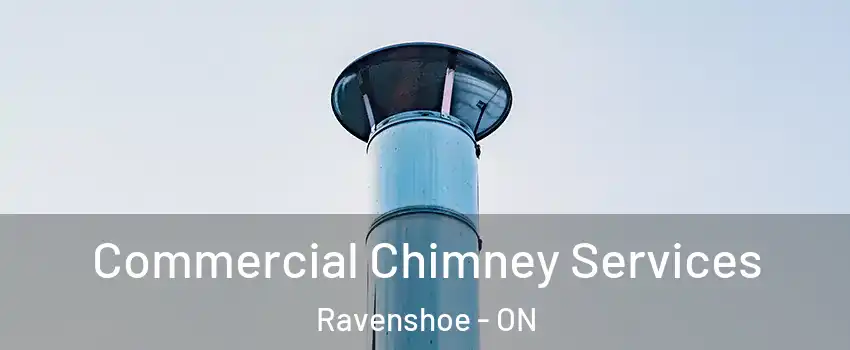  Commercial Chimney Services Ravenshoe - ON