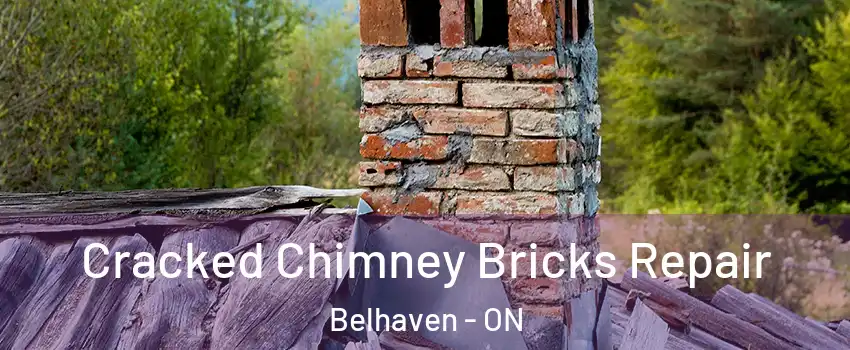  Cracked Chimney Bricks Repair Belhaven - ON