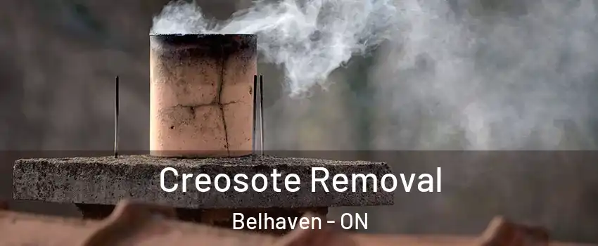  Creosote Removal Belhaven - ON