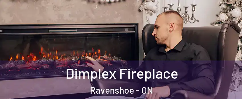  Dimplex Fireplace Ravenshoe - ON