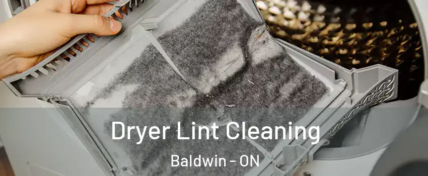  Dryer Lint Cleaning Baldwin - ON
