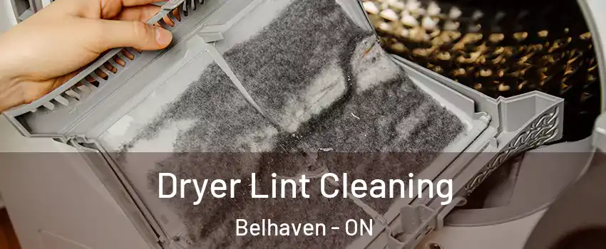  Dryer Lint Cleaning Belhaven - ON
