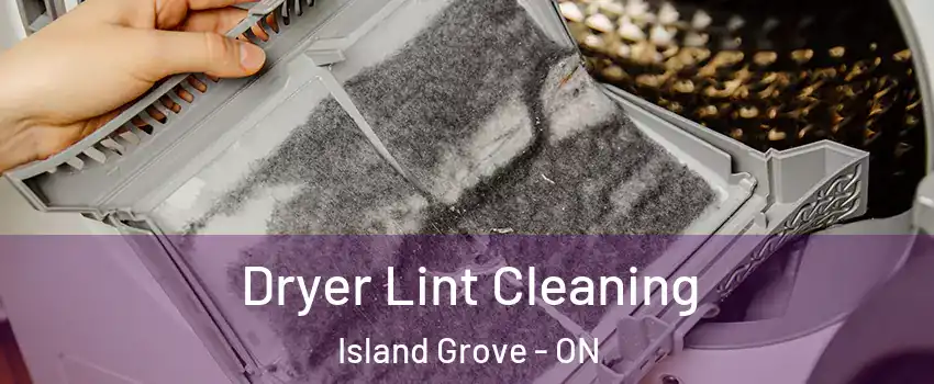  Dryer Lint Cleaning Island Grove - ON