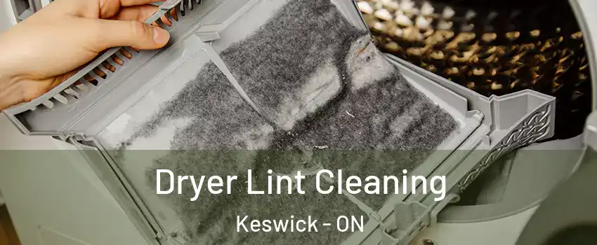  Dryer Lint Cleaning Keswick - ON