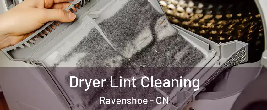  Dryer Lint Cleaning Ravenshoe - ON
