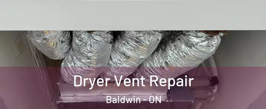  Dryer Vent Repair Baldwin - ON