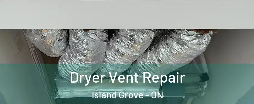 Dryer Vent Repair Island Grove - ON