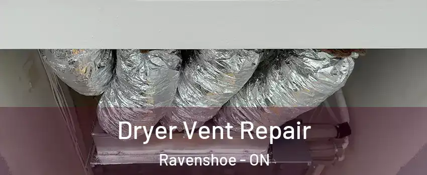  Dryer Vent Repair Ravenshoe - ON