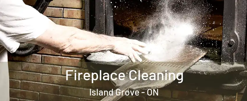  Fireplace Cleaning Island Grove - ON
