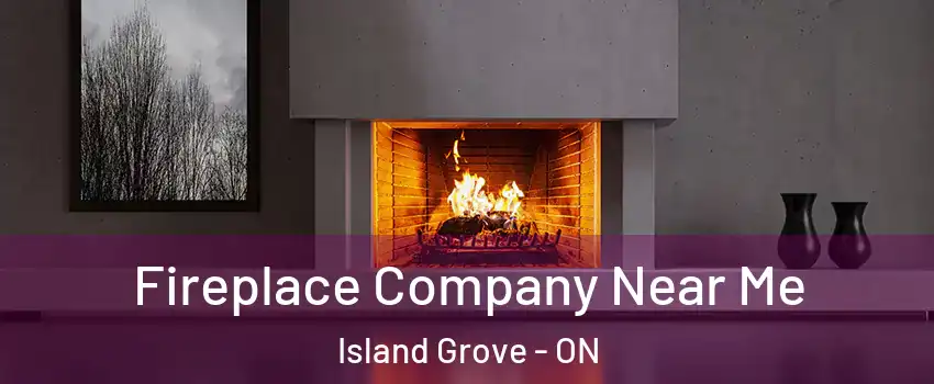  Fireplace Company Near Me Island Grove - ON