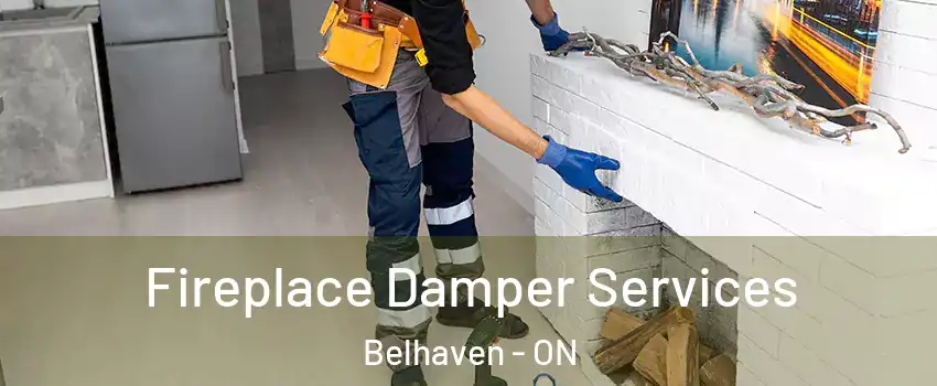  Fireplace Damper Services Belhaven - ON
