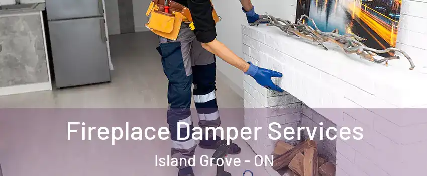  Fireplace Damper Services Island Grove - ON