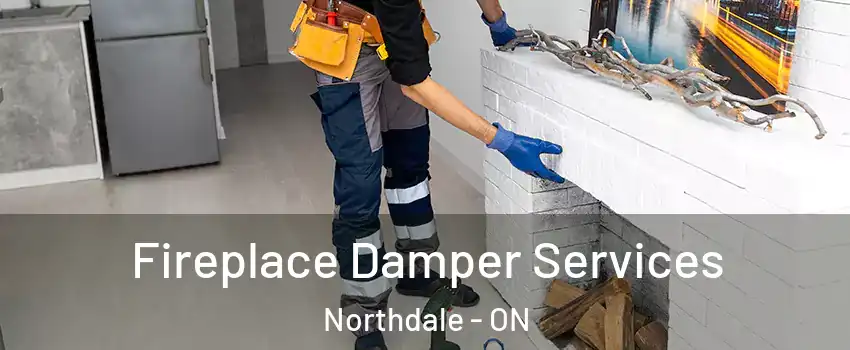  Fireplace Damper Services Northdale - ON