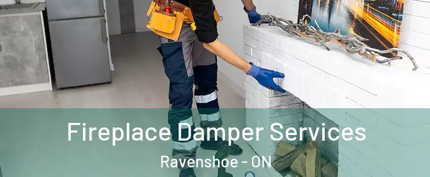  Fireplace Damper Services Ravenshoe - ON