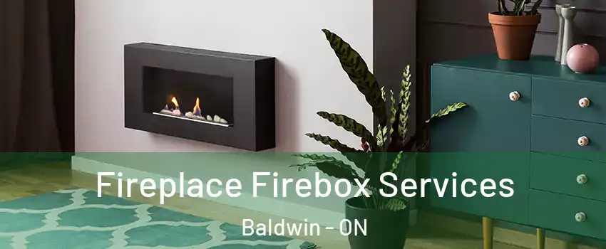  Fireplace Firebox Services Baldwin - ON