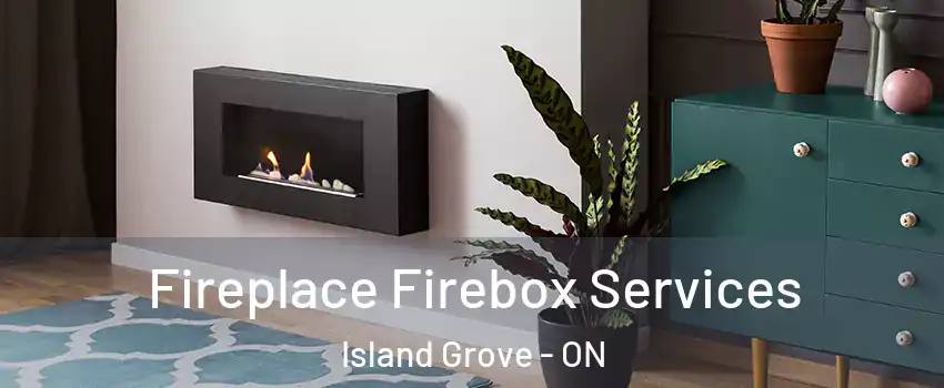  Fireplace Firebox Services Island Grove - ON