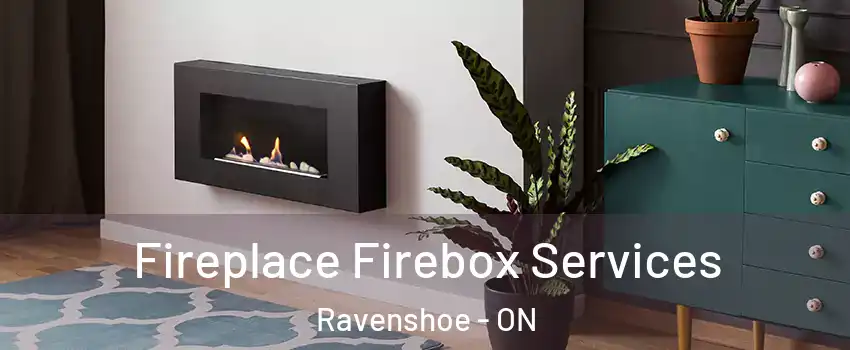  Fireplace Firebox Services Ravenshoe - ON