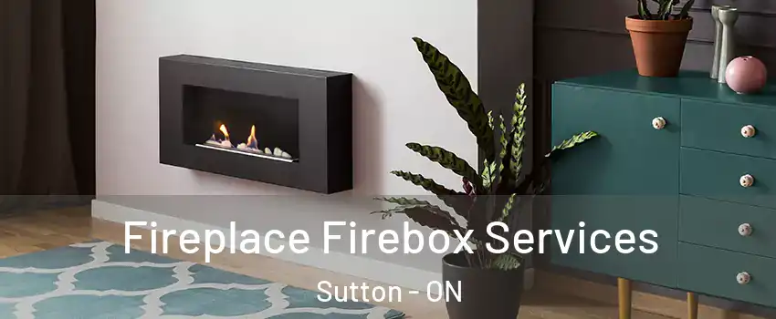  Fireplace Firebox Services Sutton - ON